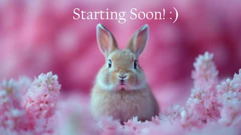 Stella online show from May 2026 09:53:02 PM