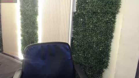 bunny online show from January 2026 05:27:02 PM