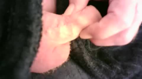 Snapshot of burnside13 chatting on November 2025 12:32:01 AM Hamish online show from November 2025 12:32:01 AM