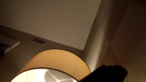 bushdoctor1 online show from December 2024 06:09:02 AM