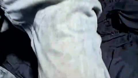 Buster18Hymen online show from October 2025 07:36:02 PM