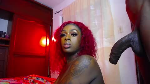 butterfly_rouse online show from November 2025 10:48:02 AM