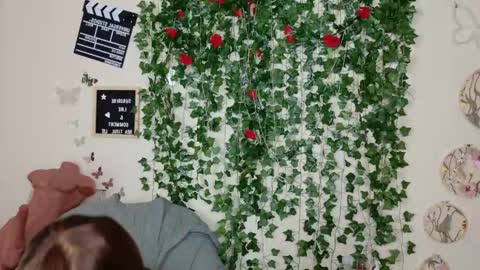 butterfly booty online show from November 2025 10:47:01 AM