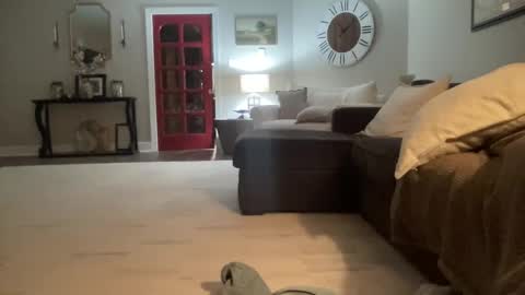 bwc2465 online show from February 2025 04:03:01 AM