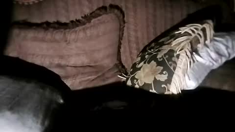 bxpapi69 online show from November 2025 06:46:01 AM