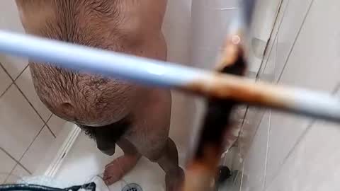 bxpapi69 online show from November 2025 04:22:02 AM