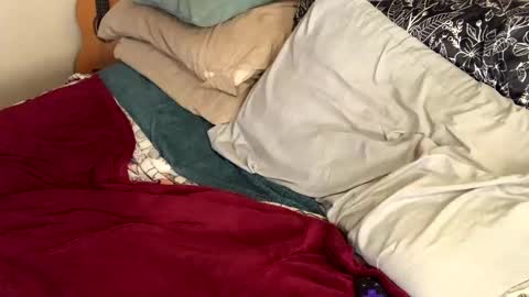 Cadillac P online show from January 2025 09:15:01 PM