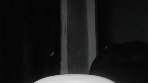 Snapshot of cafinfi1 chatting on February 2026 01:45:04 AM cafinfi1 online show from February 2026 01:45:04 AM