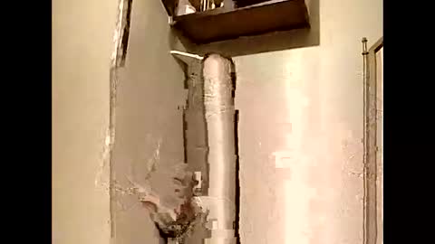 Southerncock online show from January 2025 12:31:02 PM