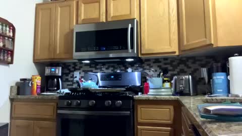 calishop1 online show from December 2024 03:56:02 AM