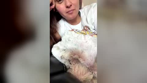 calishop1 online show from March 2026 11:22:01 PM