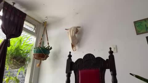  Camille   online show from October 2025 06:42:02 PM