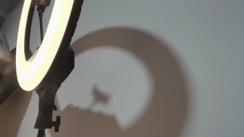 CAMILO  online show from March 2026 01:06:02 PM