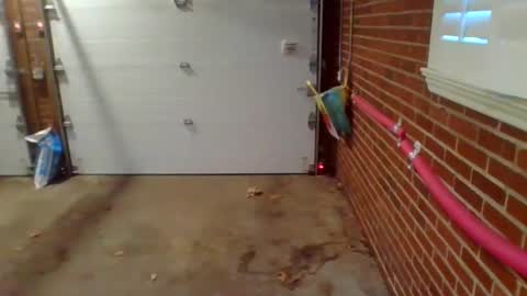 Snapshot of cammyman6900 chatting on December 2024 01:34:02 PM cammyman6900 online show from December 2024 01:34:02 PM