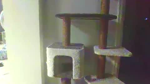 cammyman6900 online show from November 2025 04:34:02 AM