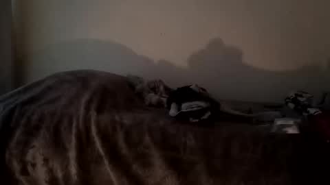 Camren online show from October 2025 02:47:01 PM