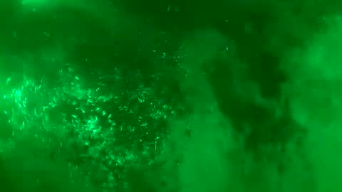 Daddy online show from January 2025 07:28:01 AM