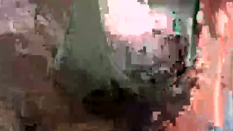 Candixtrans online show from March 2026 07:17:01 PM