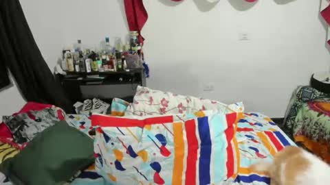 Snapshot of candlexx_ chatting on February 2025 03:35:02 AM candlex online show from February 2025 03:35:02 AM
