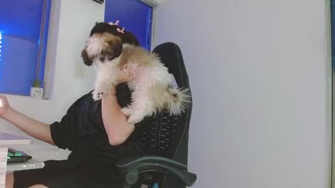 candy_giuliana21 online show from April 2026 12:02:02 AM