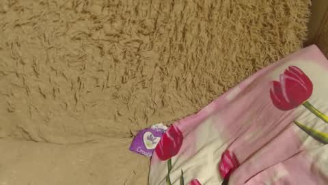 say meow and send tip  online show from December 2024 10:58:02 PM