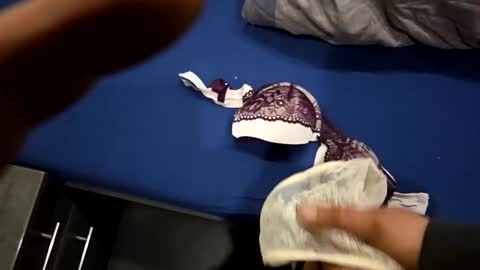 capoo24 online show from October 2025 10:08:02 AM