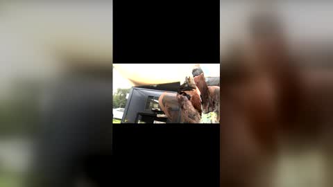 Snapshot of captain_deanos chatting on February 2026 10:06:01 PM captain_deanos online show from February 2026 10:06:01 PM