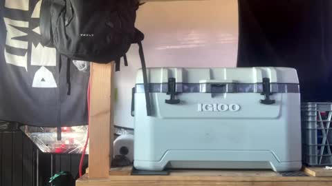 Snapshot of capwheels chatting on September 2025 07:48:01 PM CAP online show from September 2025 07:48:01 PM