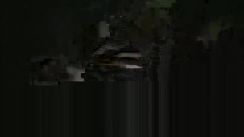 Snapshot of cardie chatting on May 2026 04:09:02 AM supersexycardie online show from May 2026 04:09:02 AM