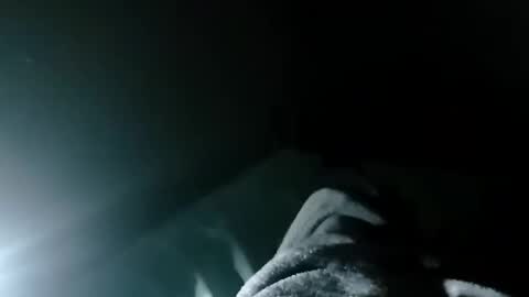 carlitito1 online show from May 2026 05:56:01 AM