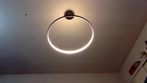 Carlos online show from December 2024 09:44:02 AM