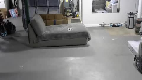 Carl online show from June 2026 05:19:01 PM