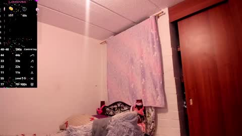 carol I broadcast from 3-9 pm Chicago USA online show from February 2025 11:37:02 PM