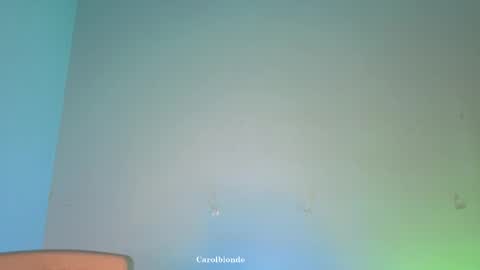 Snapshot of carolblonde chatting on May 2026 04:07:02 AM Char online show from May 2026 04:07:02 AM