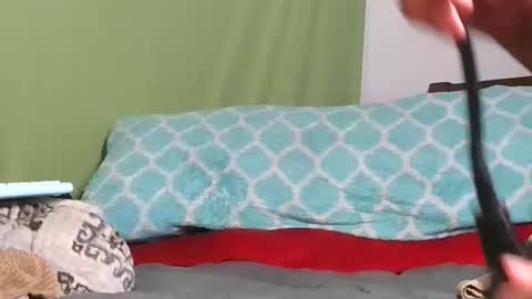 carolinayungin96 online show from November 2025 10:43:02 PM