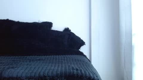 caroline online show from April 2026 01:41:01 PM