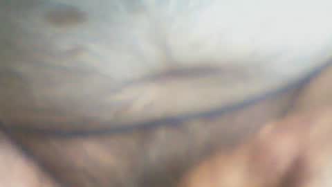 castells online show from October 2025 03:32:02 PM