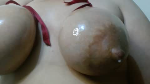 Cata  online show from April 2026 12:54:01 PM