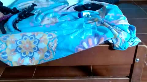 Snapshot of cataleyanicesaludable chatting on January 2026 09:18:01 PM cataleya online show from January 2026 09:18:01 PM