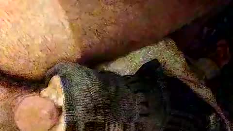 catdaddy179057 online show from March 2026 02:19:01 PM