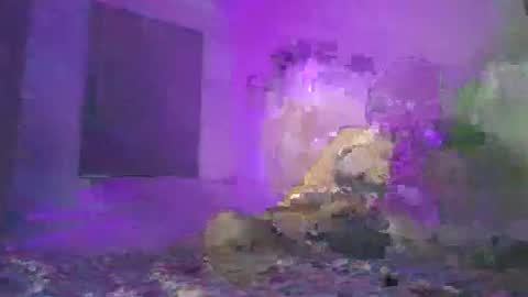 cazrus online show from February 2026 02:48:01 PM