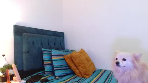 Cedrixx10 online show from November 2025 10:32:02 PM