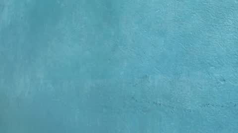 Celestial online show from March 2026 02:27:01 PM