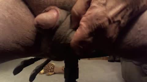 centaur629 online show from February 2026 02:40:01 AM