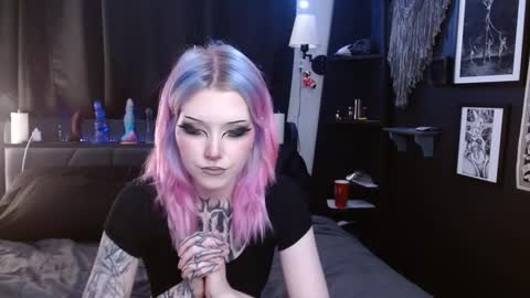 Snapshot of cerianex chatting on February 2025 12:46:01 AM Averi online show from February 2025 12:46:01 AM