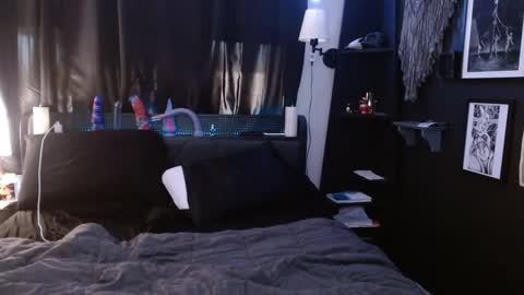 Snapshot of cerianex chatting on February 2025 11:22:01 PM Averi online show from February 2025 11:22:01 PM