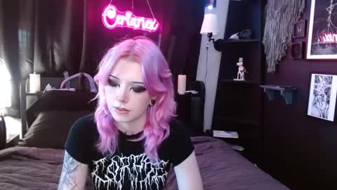 Snapshot of cerianex chatting on March 2025 07:50:02 PM Averi online show from March 2025 07:50:02 PM