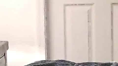 cfnmkinky28 online show from December 2024 03:05:02 AM