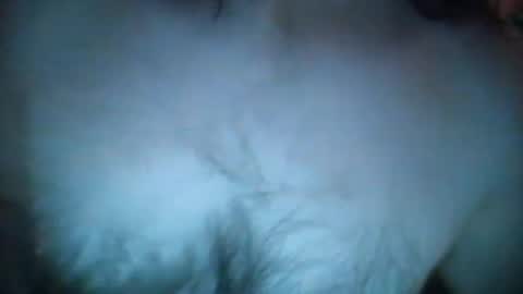 ch4turguy online show from March 2025 02:53:02 PM