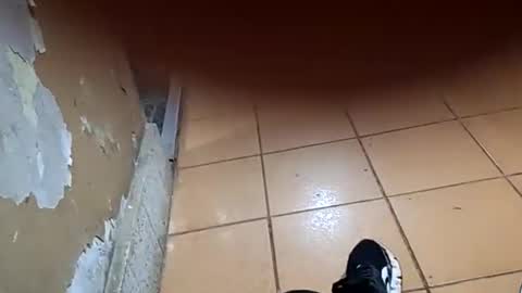 chancherman online show from January 2026 04:25:01 AM